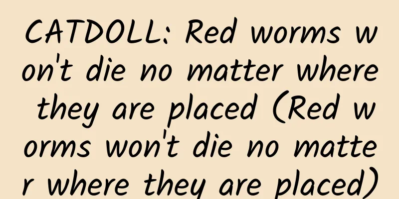 CATDOLL: Red worms won't die no matter where they are placed (Red worms won't die no matter where they are placed)