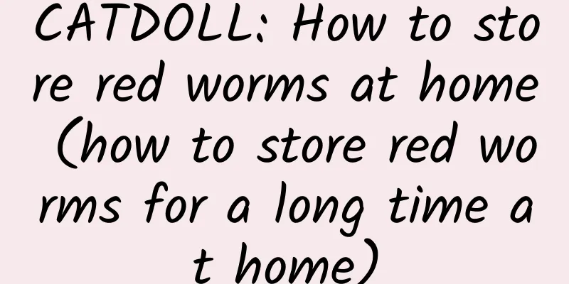 CATDOLL: How to store red worms at home (how to store red worms for a long time at home)