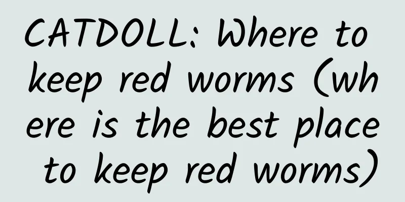 CATDOLL: Where to keep red worms (where is the best place to keep red worms)