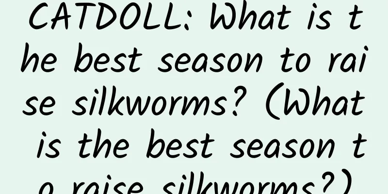 CATDOLL: What is the best season to raise silkworms? (What is the best season to raise silkworms?)