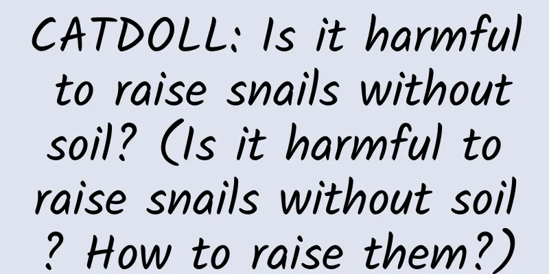 CATDOLL: Is it harmful to raise snails without soil? (Is it harmful to raise snails without soil? How to raise them?)