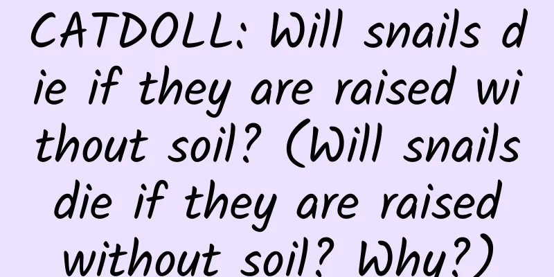 CATDOLL: Will snails die if they are raised without soil? (Will snails die if they are raised without soil? Why?)