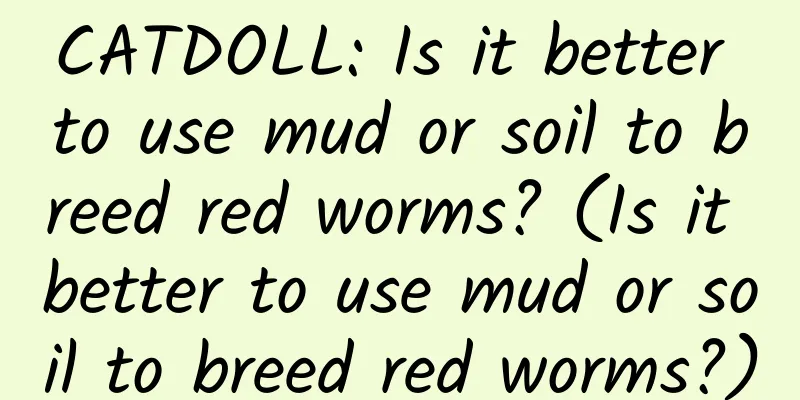 CATDOLL: Is it better to use mud or soil to breed red worms? (Is it better to use mud or soil to breed red worms?)