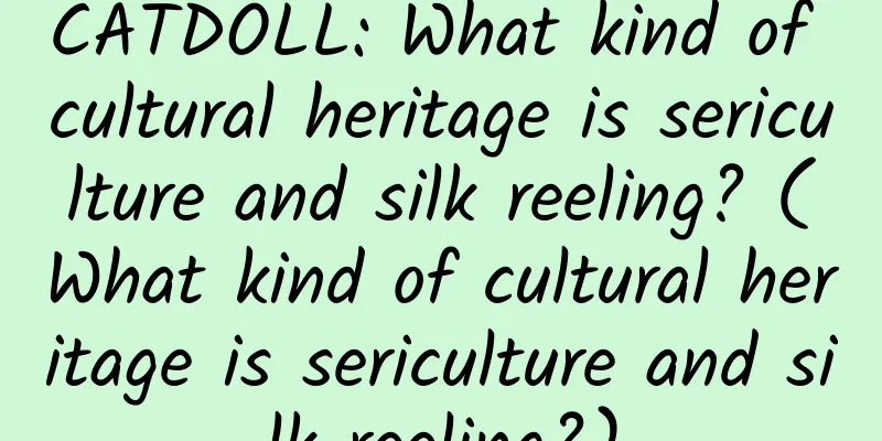 CATDOLL: What kind of cultural heritage is sericulture and silk reeling? (What kind of cultural heritage is sericulture and silk reeling?)