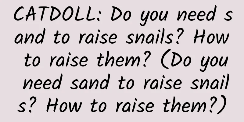 CATDOLL: Do you need sand to raise snails? How to raise them? (Do you need sand to raise snails? How to raise them?)