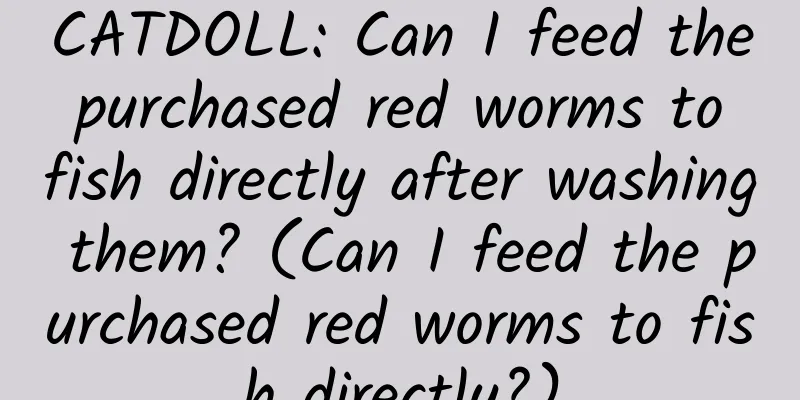 CATDOLL: Can I feed the purchased red worms to fish directly after washing them? (Can I feed the purchased red worms to fish directly?)
