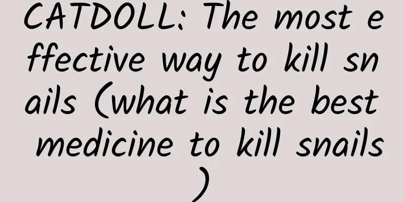 CATDOLL: The most effective way to kill snails (what is the best medicine to kill snails)
