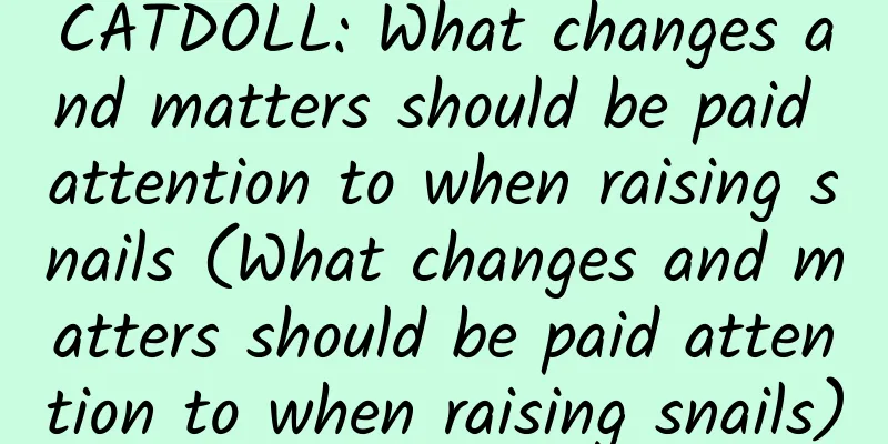 CATDOLL: What changes and matters should be paid attention to when raising snails (What changes and matters should be paid attention to when raising snails)