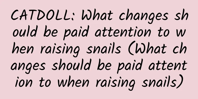 CATDOLL: What changes should be paid attention to when raising snails (What changes should be paid attention to when raising snails)