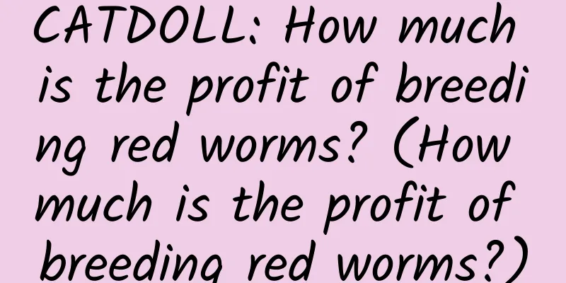 CATDOLL: How much is the profit of breeding red worms? (How much is the profit of breeding red worms?)