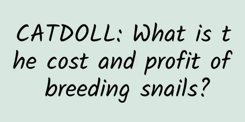 CATDOLL: What is the cost and profit of breeding snails?