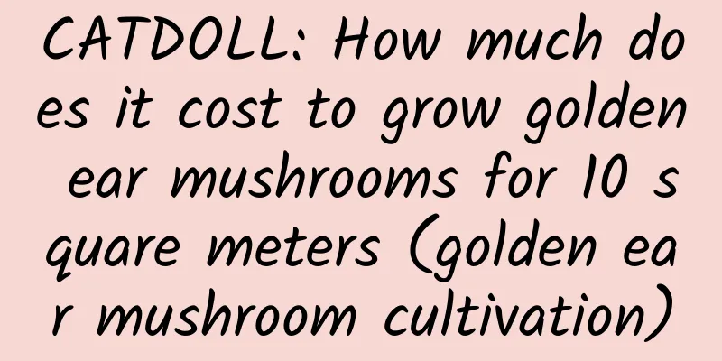 CATDOLL: How much does it cost to grow golden ear mushrooms for 10 square meters (golden ear mushroom cultivation)