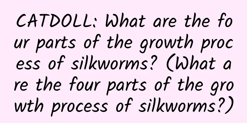 CATDOLL: What are the four parts of the growth process of silkworms? (What are the four parts of the growth process of silkworms?)