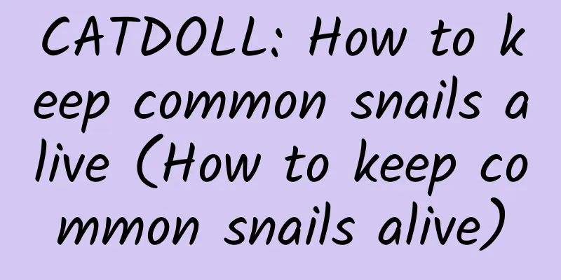 CATDOLL: How to keep common snails alive (How to keep common snails alive)