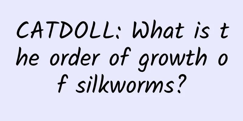 CATDOLL: What is the order of growth of silkworms?