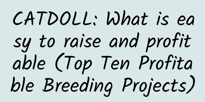 CATDOLL: What is easy to raise and profitable (Top Ten Profitable Breeding Projects)