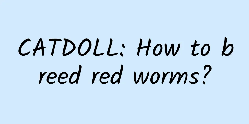 CATDOLL: How to breed red worms?