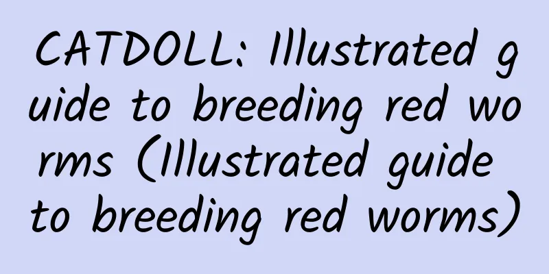 CATDOLL: Illustrated guide to breeding red worms (Illustrated guide to breeding red worms)