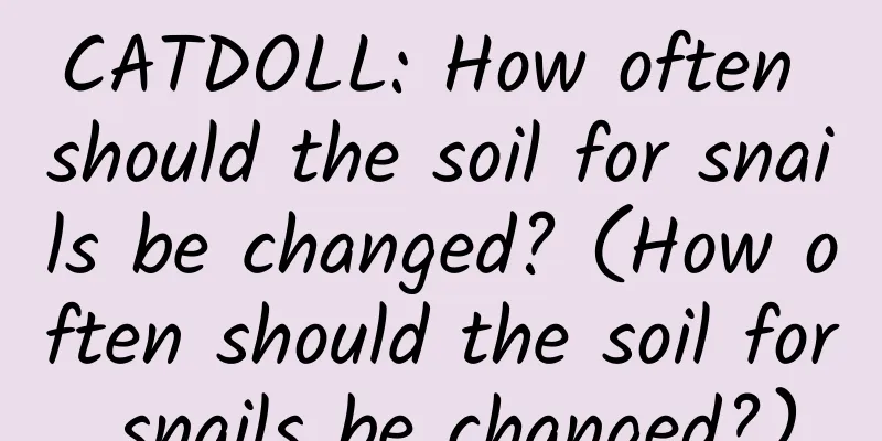 CATDOLL: How often should the soil for snails be changed? (How often should the soil for snails be changed?)
