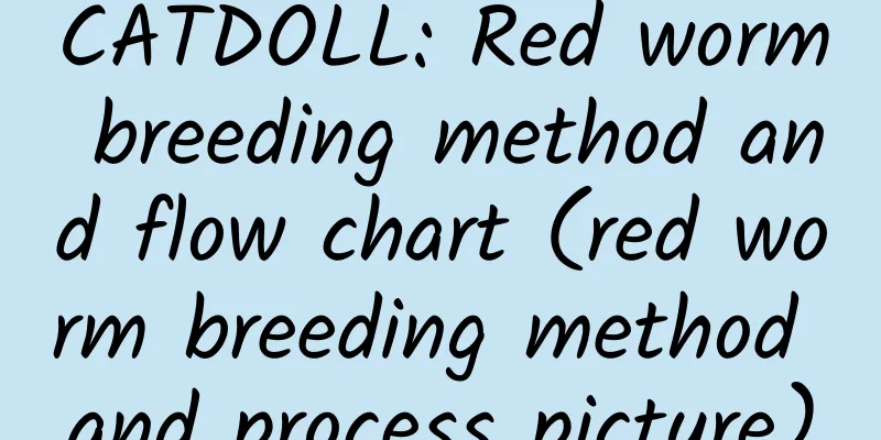 CATDOLL: Red worm breeding method and flow chart (red worm breeding method and process picture)