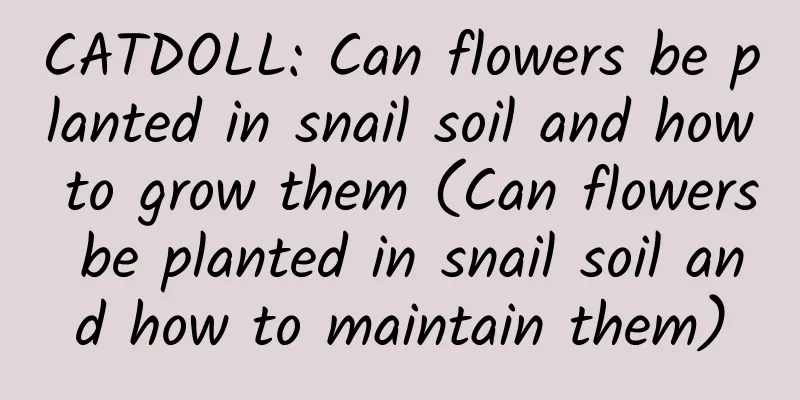 CATDOLL: Can flowers be planted in snail soil and how to grow them (Can flowers be planted in snail soil and how to maintain them)