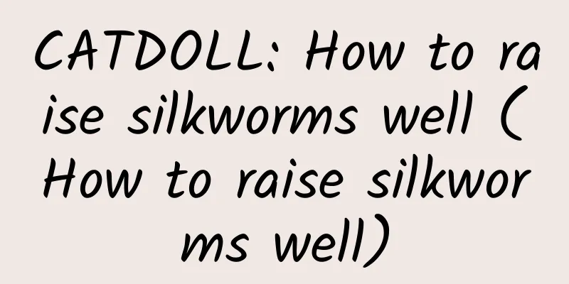 CATDOLL: How to raise silkworms well (How to raise silkworms well)