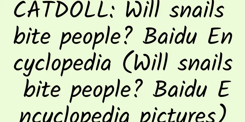 CATDOLL: Will snails bite people? Baidu Encyclopedia (Will snails bite people? Baidu Encyclopedia pictures)