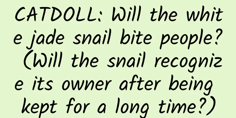 CATDOLL: Will the white jade snail bite people? (Will the snail recognize its owner after being kept for a long time?)