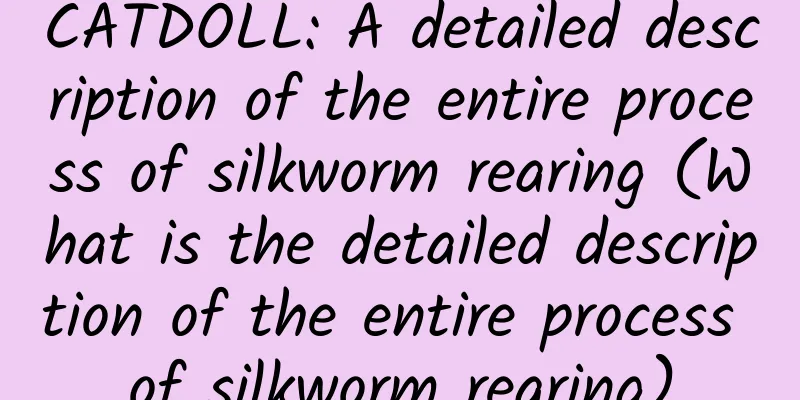 CATDOLL: A detailed description of the entire process of silkworm rearing (What is the detailed description of the entire process of silkworm rearing)