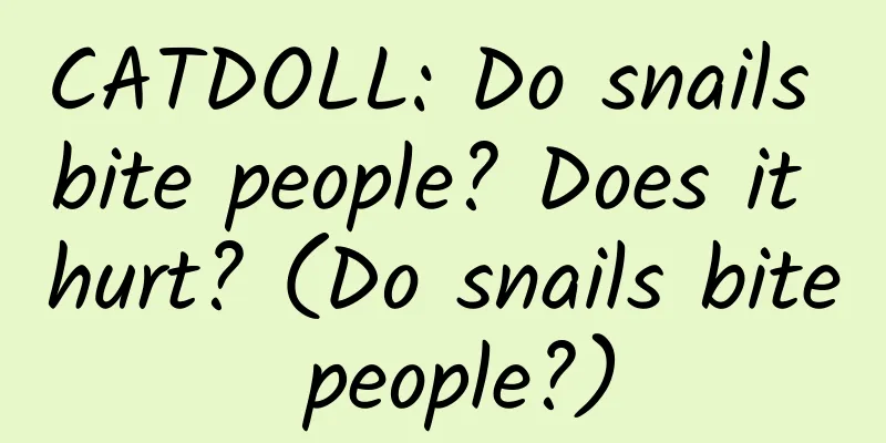 CATDOLL: Do snails bite people? Does it hurt? (Do snails bite people?)