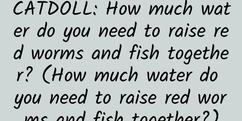 CATDOLL: How much water do you need to raise red worms and fish together? (How much water do you need to raise red worms and fish together?)