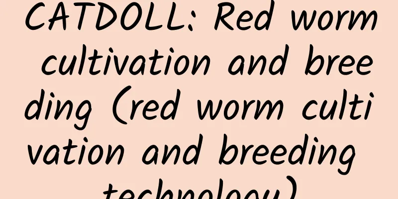 CATDOLL: Red worm cultivation and breeding (red worm cultivation and breeding technology)