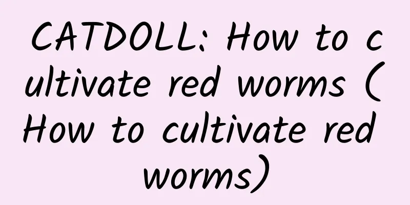 CATDOLL: How to cultivate red worms (How to cultivate red worms)