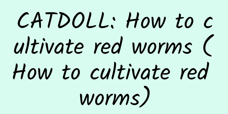 CATDOLL: How to cultivate red worms (How to cultivate red worms)