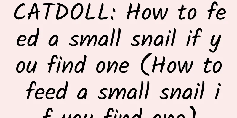 CATDOLL: How to feed a small snail if you find one (How to feed a small snail if you find one)