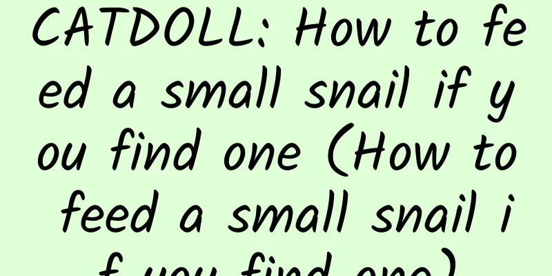 CATDOLL: How to feed a small snail if you find one (How to feed a small snail if you find one)