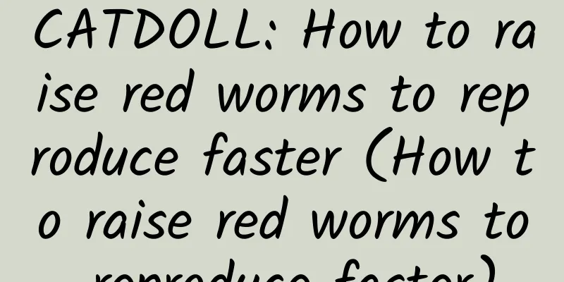 CATDOLL: How to raise red worms to reproduce faster (How to raise red worms to reproduce faster)