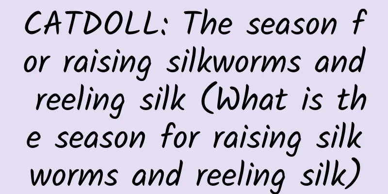 CATDOLL: The season for raising silkworms and reeling silk (What is the season for raising silkworms and reeling silk)
