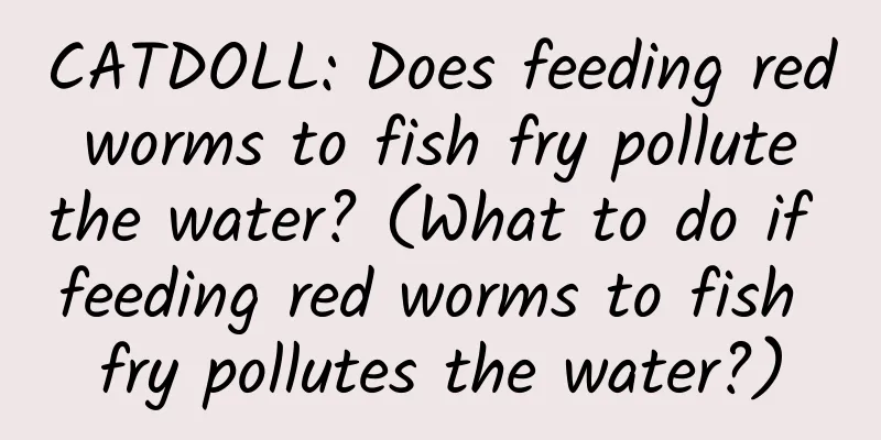 CATDOLL: Does feeding red worms to fish fry pollute the water? (What to do if feeding red worms to fish fry pollutes the water?)