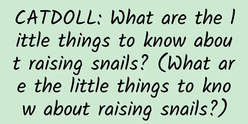 CATDOLL: What are the little things to know about raising snails? (What are the little things to know about raising snails?)