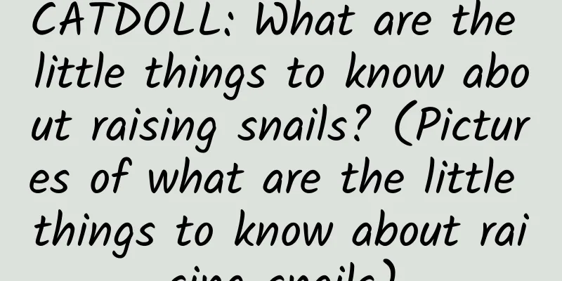 CATDOLL: What are the little things to know about raising snails? (Pictures of what are the little things to know about raising snails)