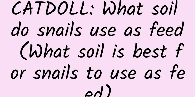 CATDOLL: What soil do snails use as feed (What soil is best for snails to use as feed)