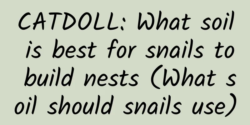 CATDOLL: What soil is best for snails to build nests (What soil should snails use)