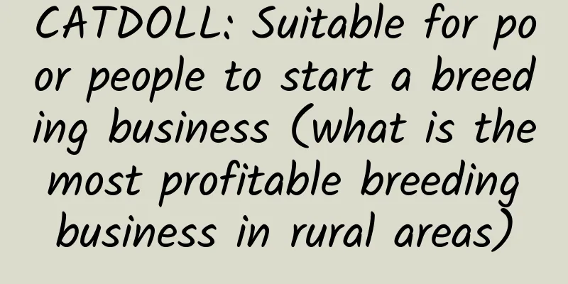 CATDOLL: Suitable for poor people to start a breeding business (what is the most profitable breeding business in rural areas)