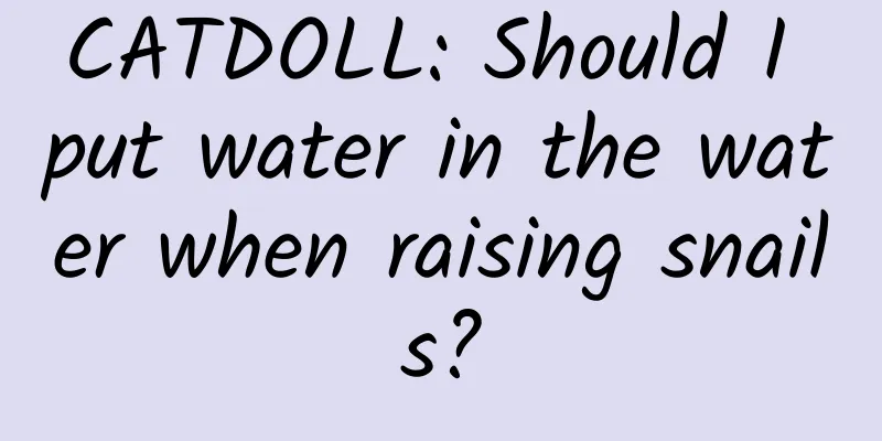 CATDOLL: Should I put water in the water when raising snails?