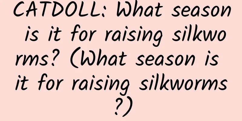 CATDOLL: What season is it for raising silkworms? (What season is it for raising silkworms?)