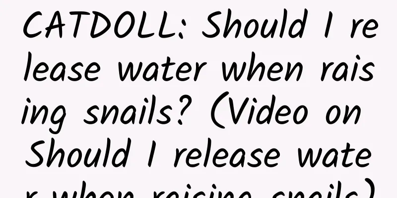 CATDOLL: Should I release water when raising snails? (Video on Should I release water when raising snails)