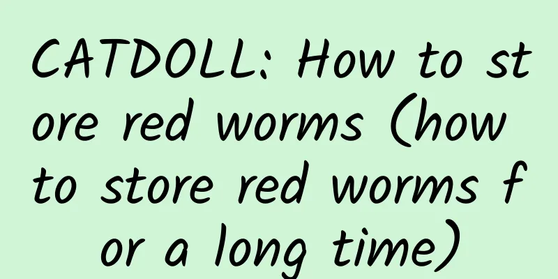 CATDOLL: How to store red worms (how to store red worms for a long time)