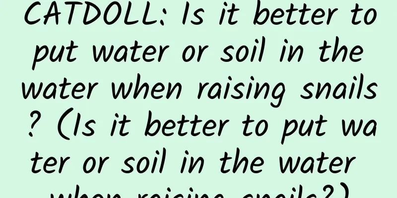 CATDOLL: Is it better to put water or soil in the water when raising snails? (Is it better to put water or soil in the water when raising snails?)