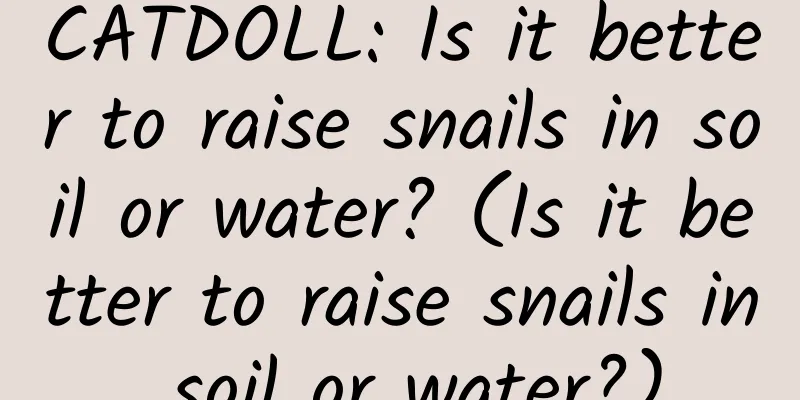 CATDOLL: Is it better to raise snails in soil or water? (Is it better to raise snails in soil or water?)